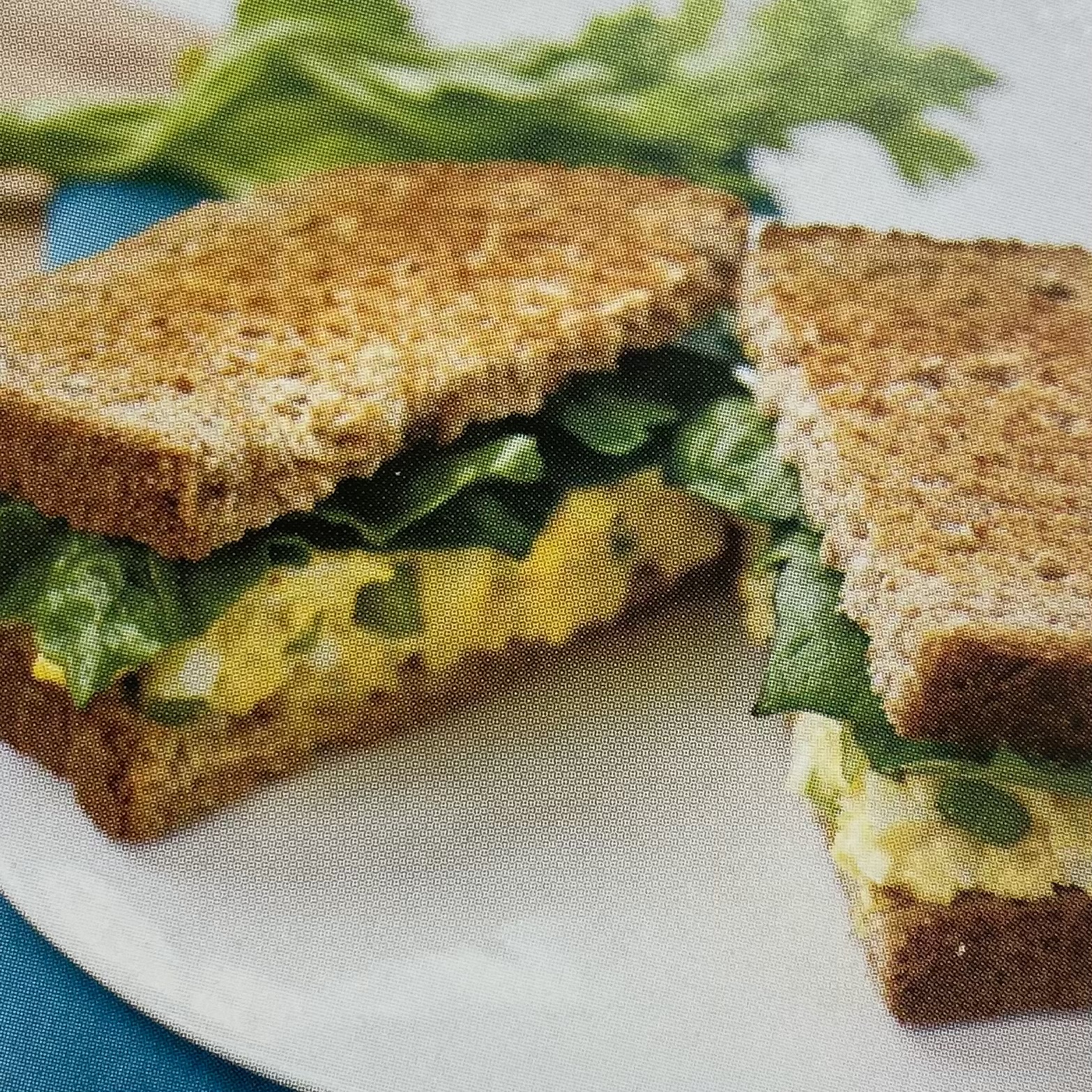 Egg Salad Sandwich